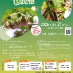 モリアオガエル鑑賞会